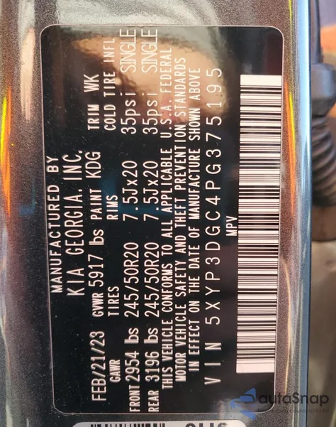 2023 Kia Telluride Ex из США, поврежденный, VIN 5XYP3DGC4PG375195